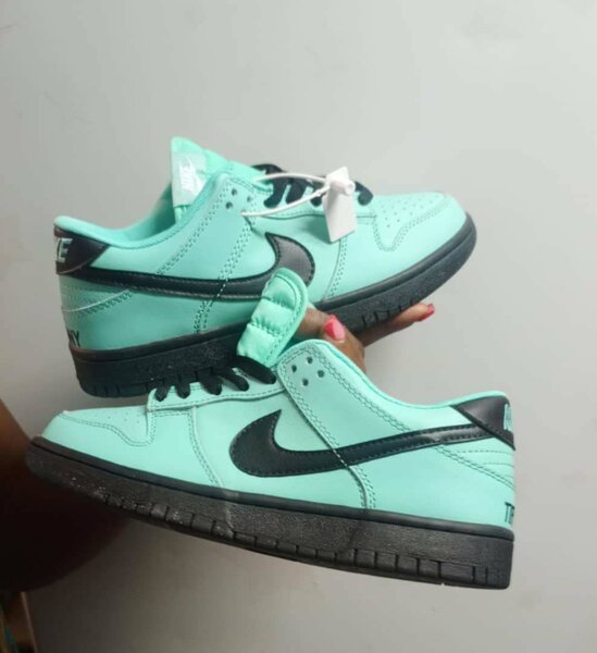 SB dunk low First Class