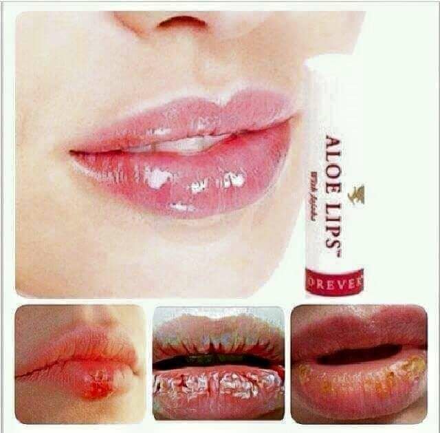 Baume à lèvres Aloe Vera hydratant