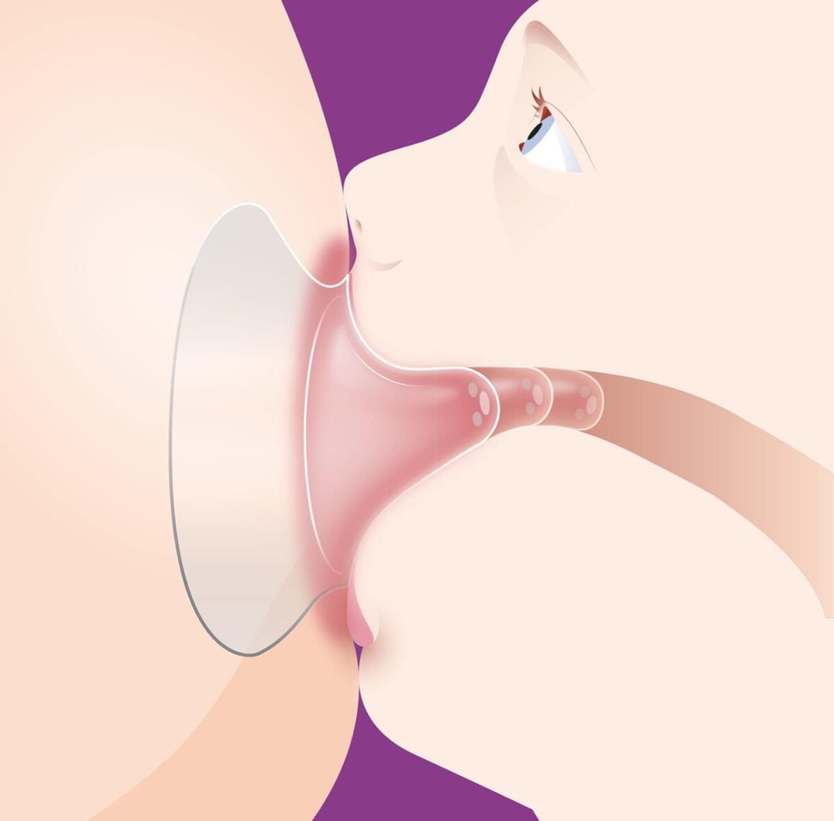 Philips Avent Nipple Shield