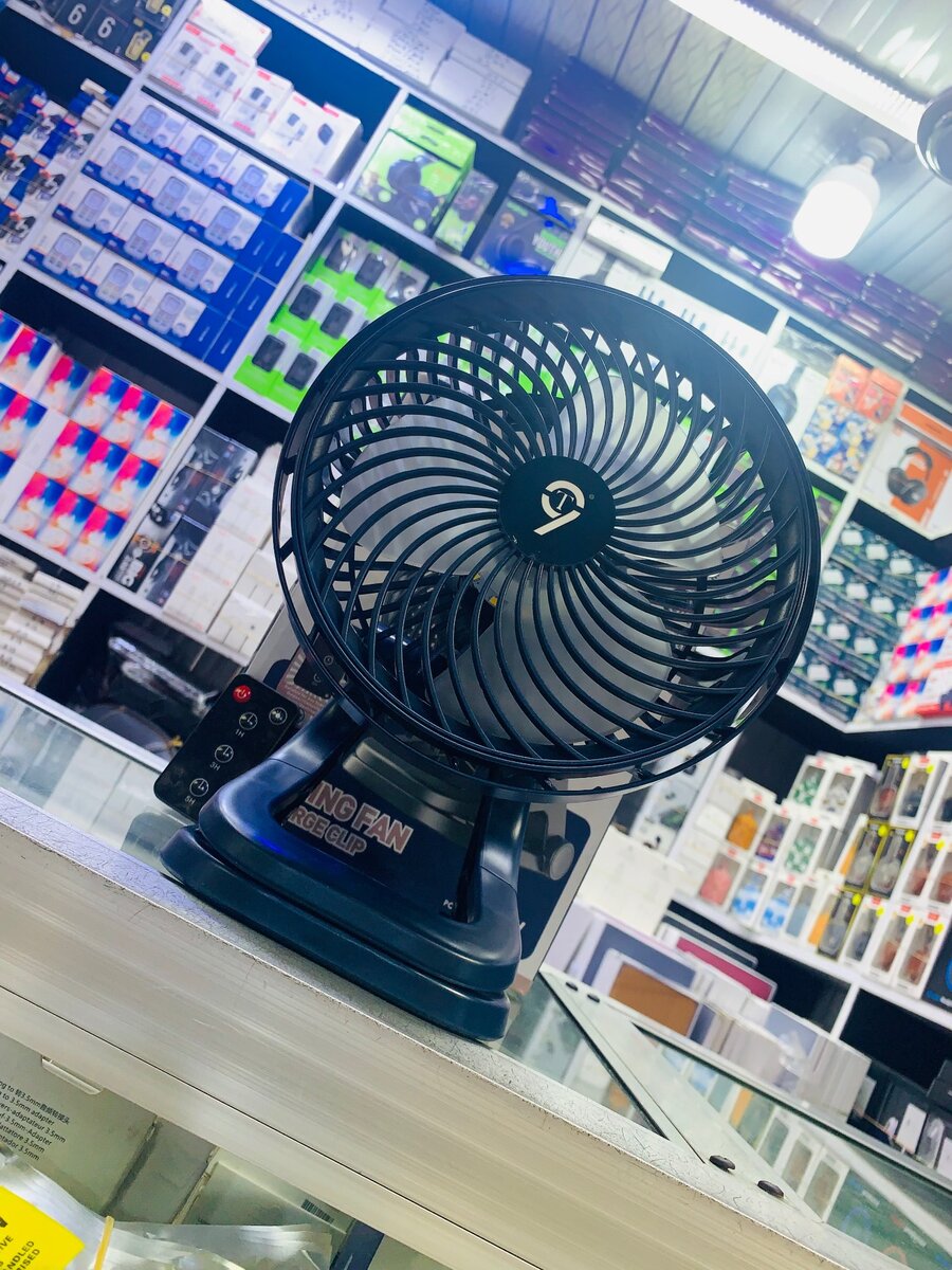 Portable rechargeable fan