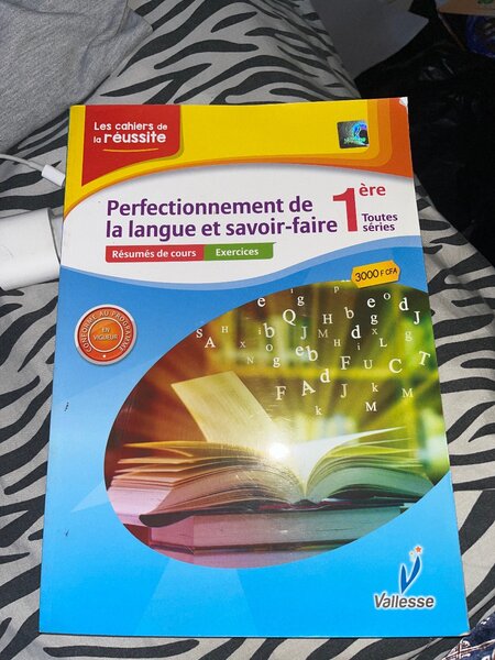 Cahier d'exercices français 1ère