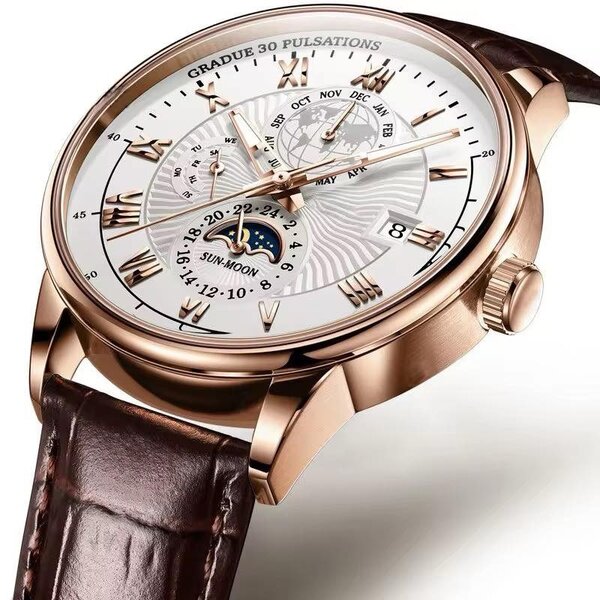 Montre Automatique Homme Luxe