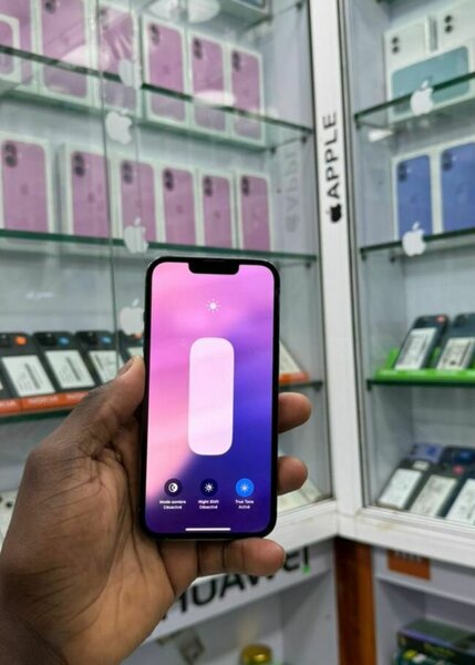 iPhone 13 Pro 256 Go - Élegance ultime