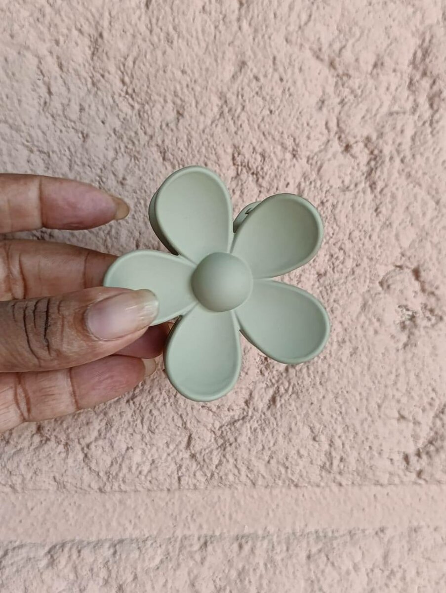 Pince à cheveux en plastique