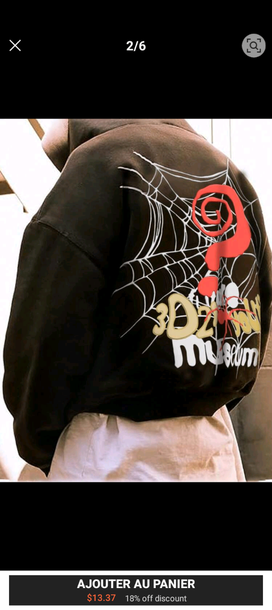 Sweat à capuche Spider Web