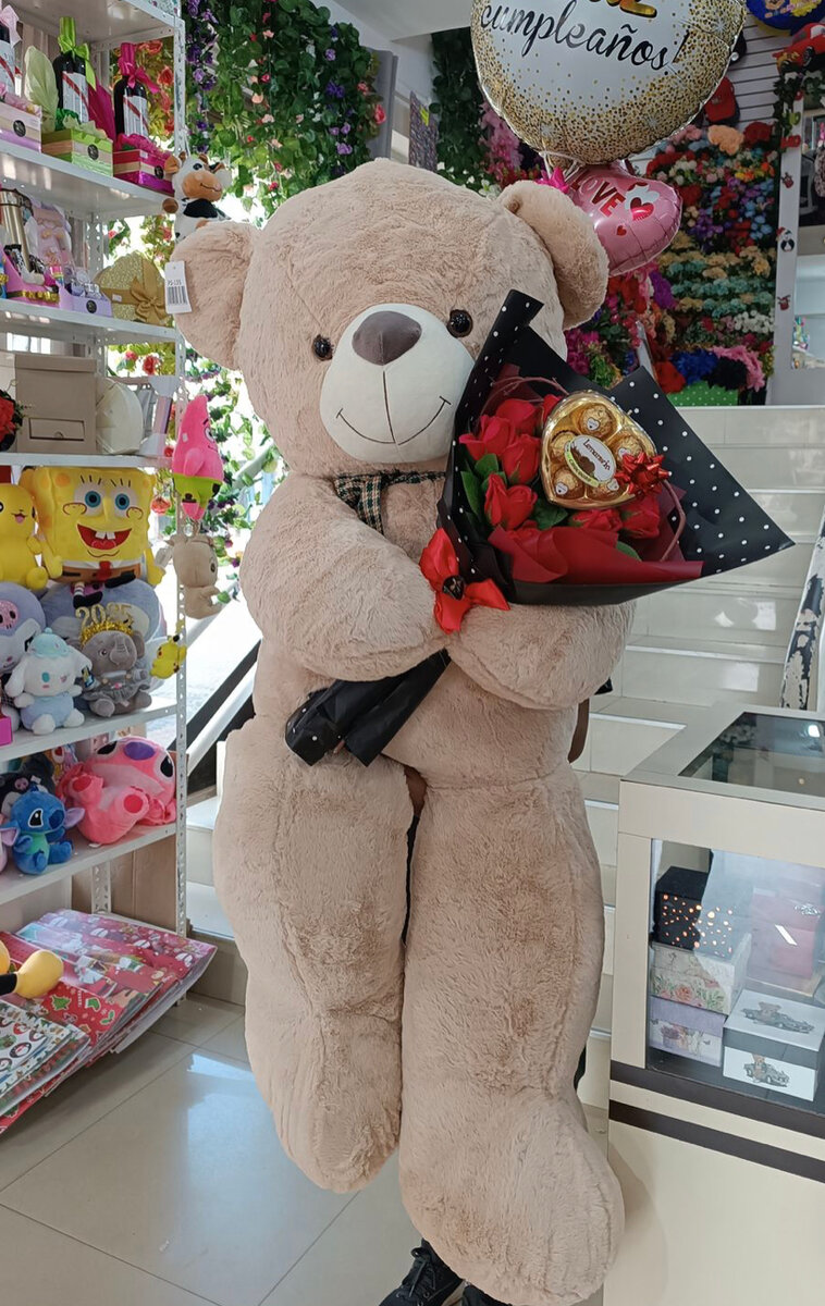 Ours en peluche géant cadeau