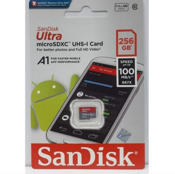 Sandisk Carte memoire 256GB