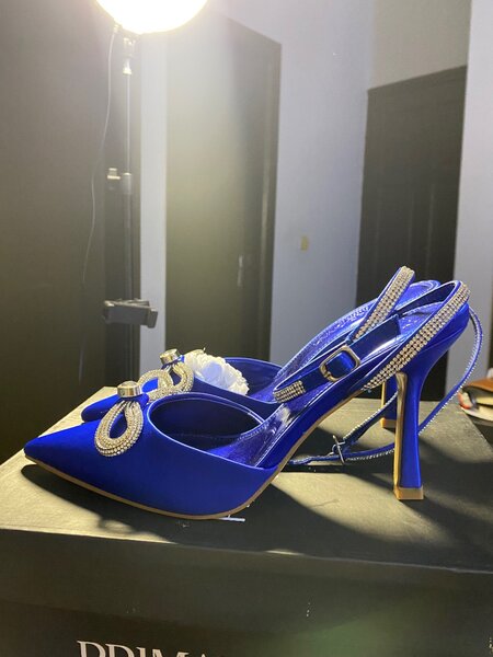 Escarpins bleus élégants