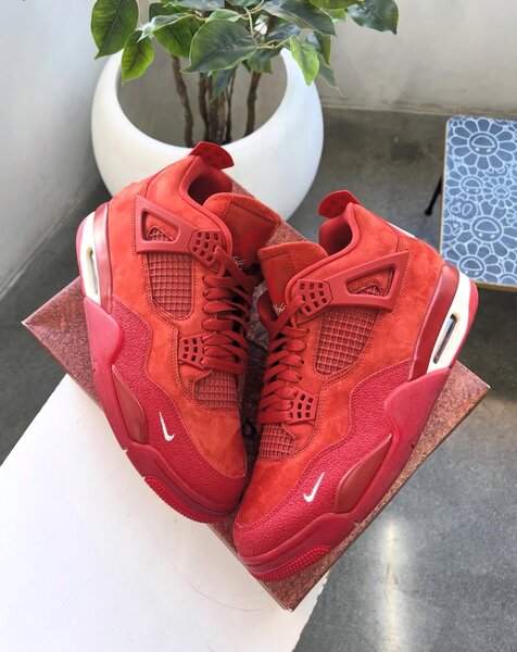 Air Jordan 4 bike