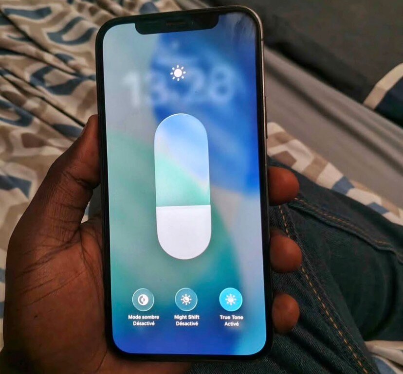 iPhone 12 Pro Max argent