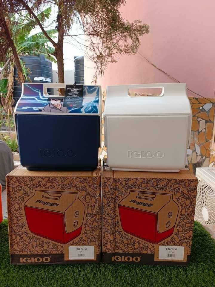 Igloo 7 quart platmate Cooler