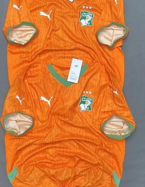 Maillot Côte d'Ivoire Puma