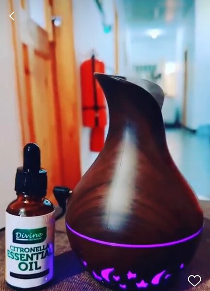 Divine Citronella Essential Oil (50ml)