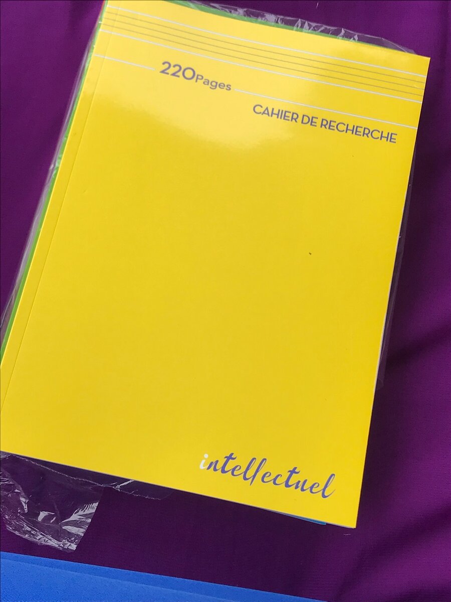 Cahier de Recherche 220 Pages