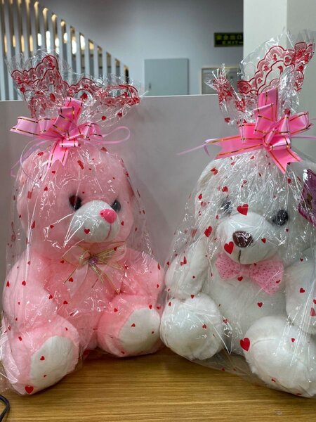 Nounours en peluche pour la Saint-Valentin