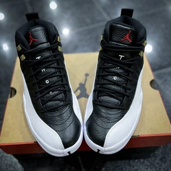 Air Jordan 12