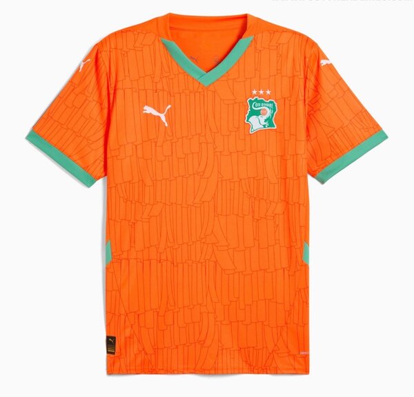 Maillot Côte d'Ivoire Puma