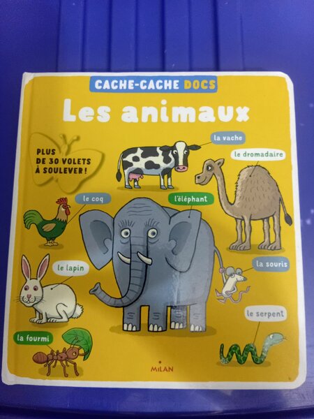 Livre enfants animaux interactif