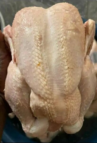 Poulet Fermier Frais