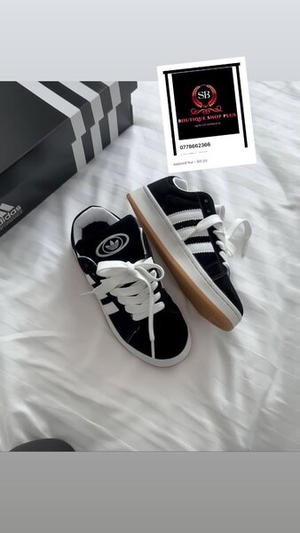 Basket adidas campus authentique  avec sa boîte