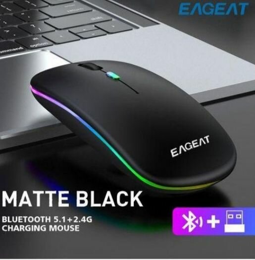 Souris sans fil rechargeable