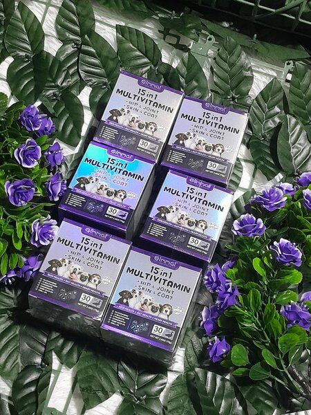 Multivitamine 15en1 pour chien