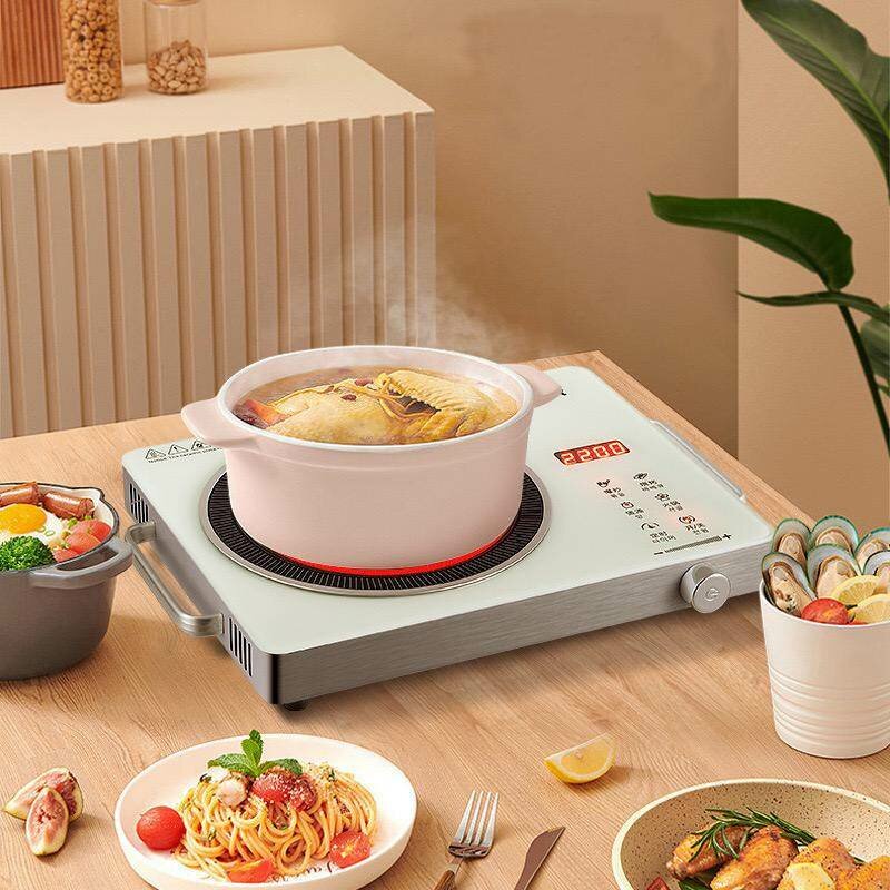 Plaque à Induction Électrique