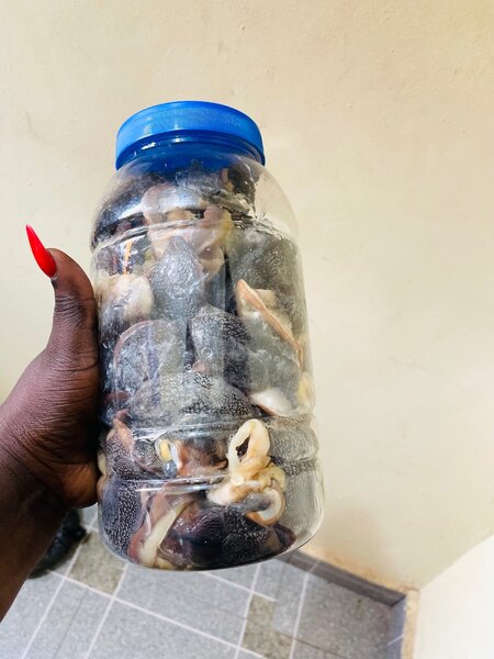 Snails, 350,500 and above