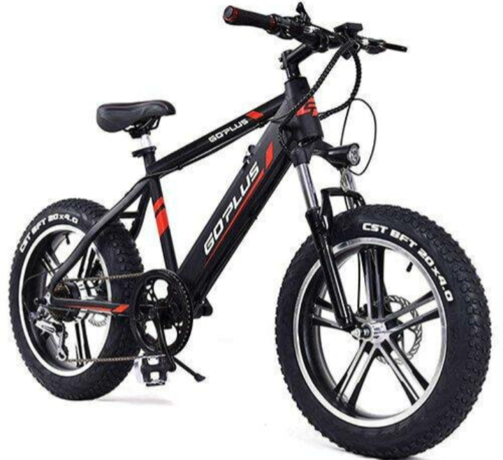 Vélo électrique tout-terrain puissant