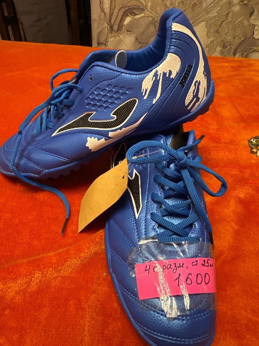 Сороконожки