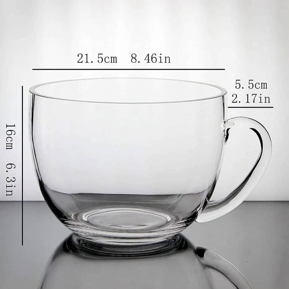 Élégant aquarium en verre