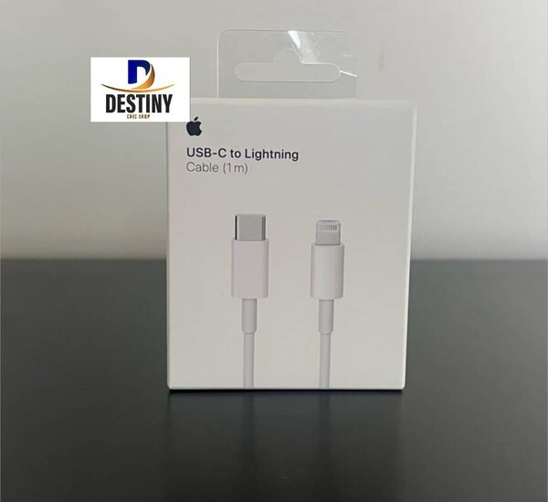 Câble USB-C vers Lightning Apple 1m