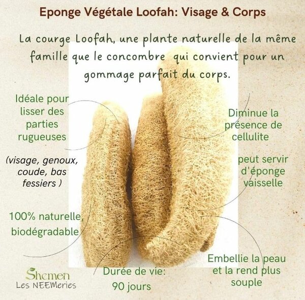 Éponge Loofah Corps