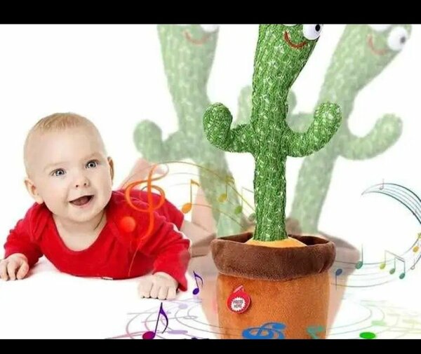 Cactus Danseur Musical