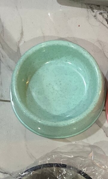 Bol pour animaux vert