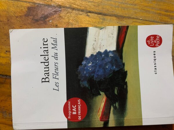 Les Fleurs du Mal - Baudelaire