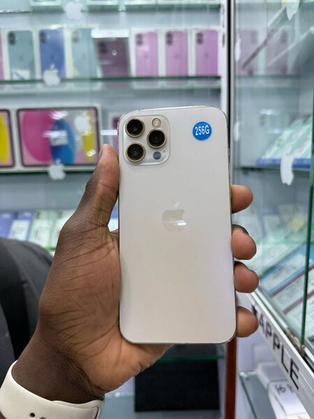 iPhone 12pro max 256go