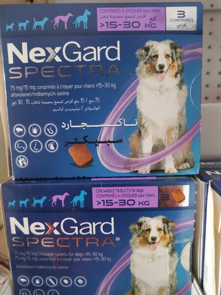 Comprimés NexGard Spectra Chiens