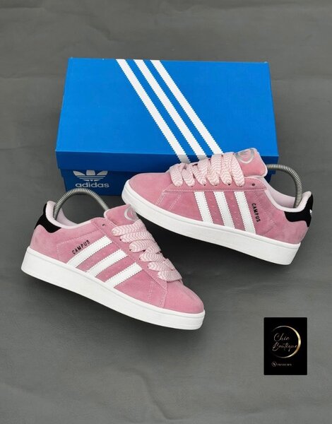 Basket Adidas campus avec carton