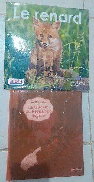 Livres scolaire  pour enfants