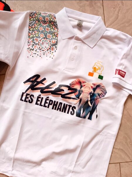 Polo Nations Africa Éléphants