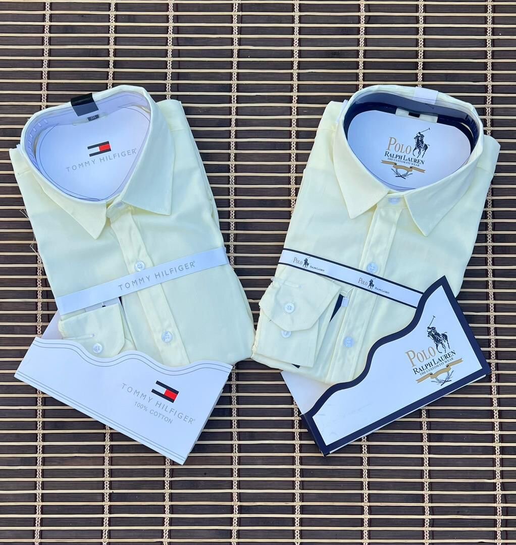 Chemise Classique Homme