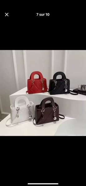 Sacs à main élégants en cuir