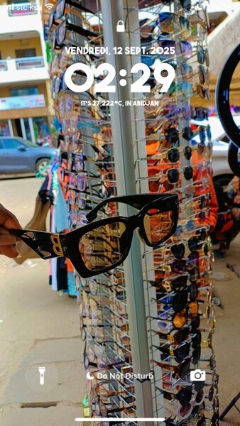 Lunettes de Soleil Élégantes