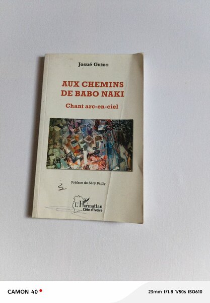 Livre Aux Chemins de Babo Naki