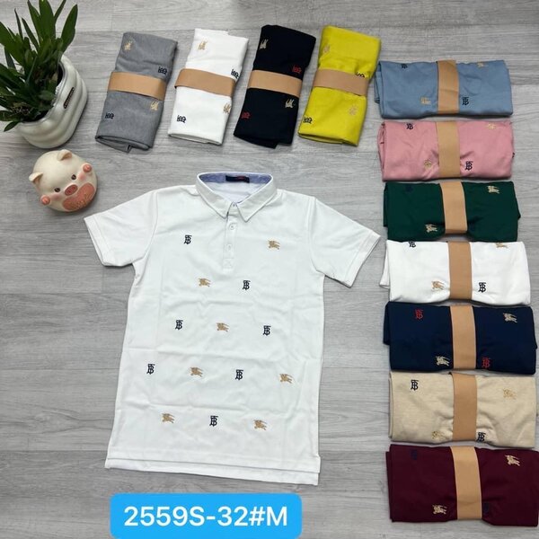 Lot de Polos Homme éclatants