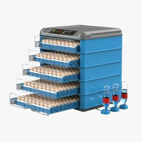 Incubateur Électrique Automatique