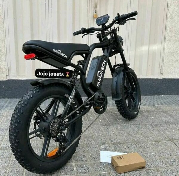 Vélo électrique tout-terrain puissant