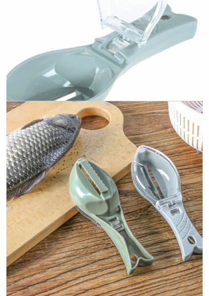 Écailleuses poisson