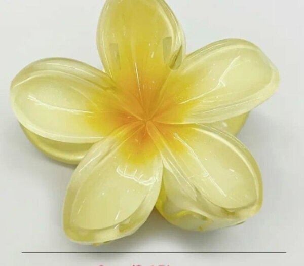 Pinces à cheveux fleure